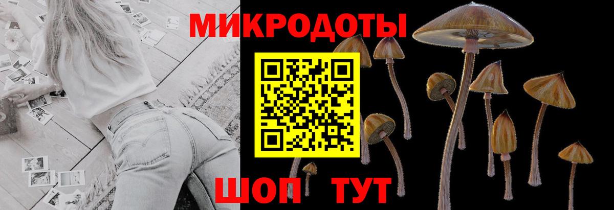 Галлюциногенные грибы прущие грибы  Вход с VPN  где продают наркотики  Тобольск 